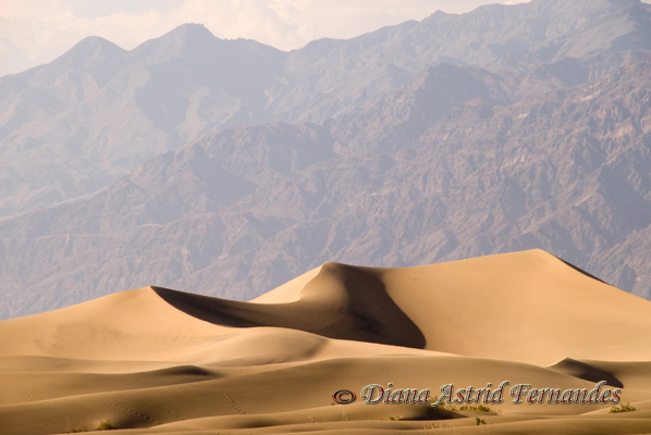 USA-Death-Valley-Sand-Dunes-California